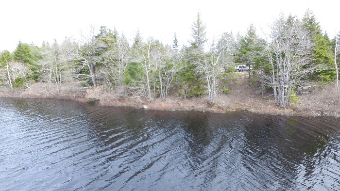 WentworthHalbinsel (91)